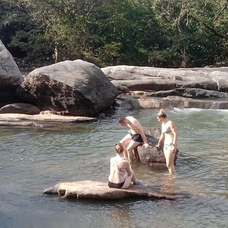 Jungle Village Homestay Пинавала Екстериор снимка
