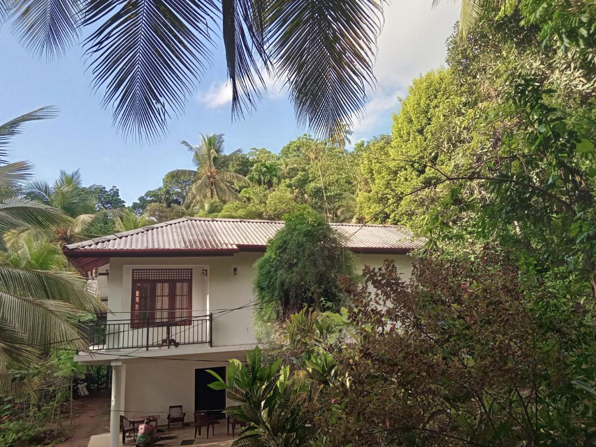 Jungle Village Homestay Пинавала Екстериор снимка