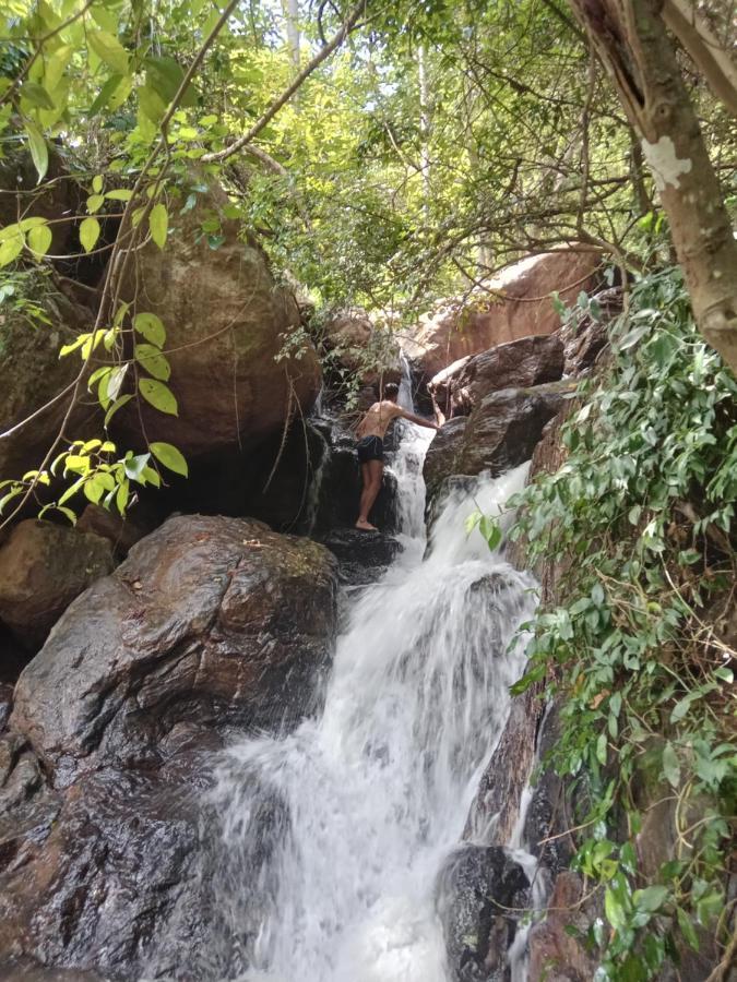 Jungle Village Homestay Пинавала Екстериор снимка