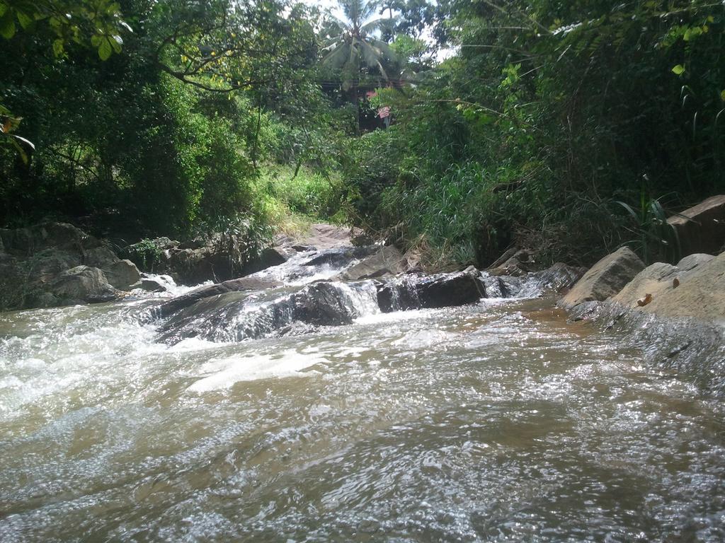 Jungle Village Homestay Пинавала Екстериор снимка