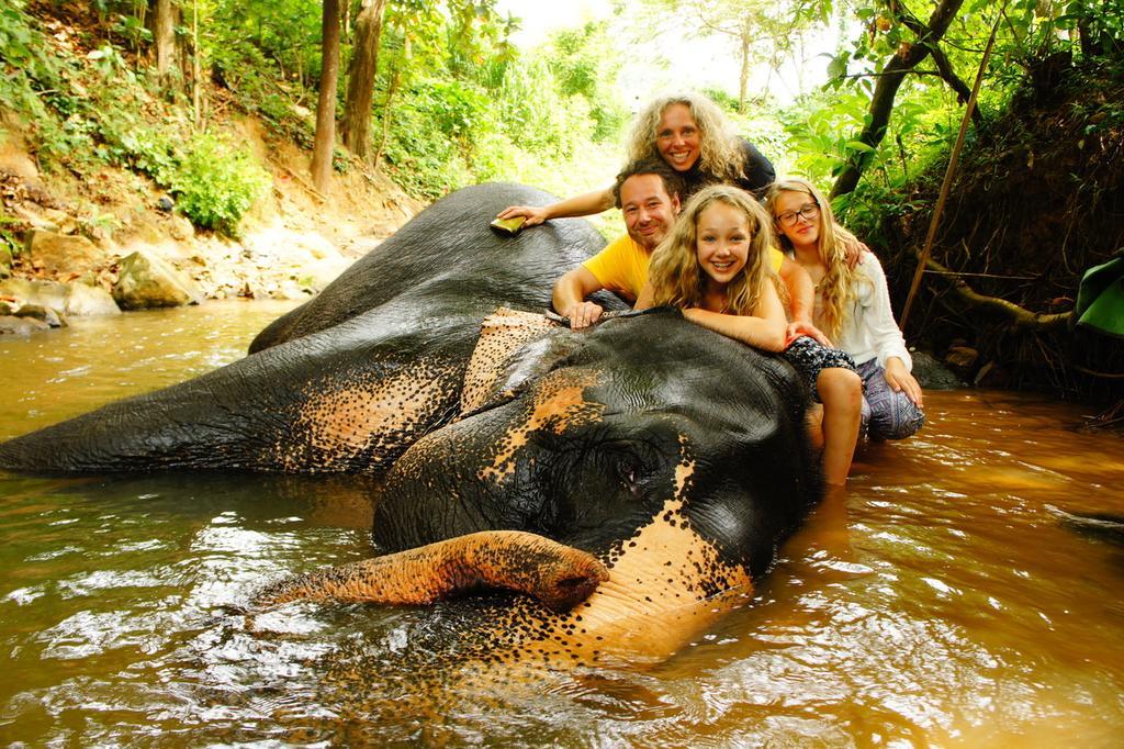 Jungle Village Homestay Пинавала Екстериор снимка
